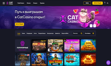 Онлайн казино Cat