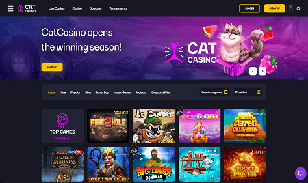 Online Cat casino